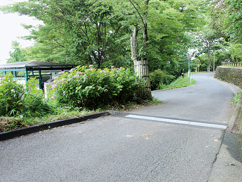 上野の森側溝整備